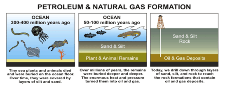 Origin of Petroleum
