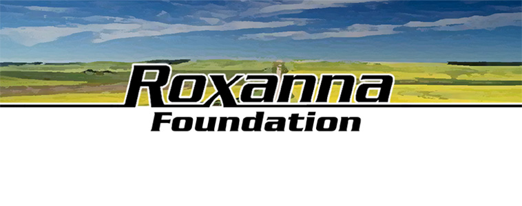 Karen Downey and the Roxanna Foundation